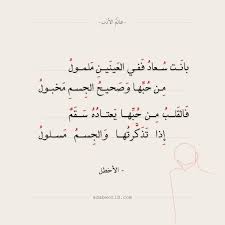 ابيات شعر غزليه لقيس بن الملوح مجنون ليلى عالم الأدب arabic love quotes love quotes arabic quotes