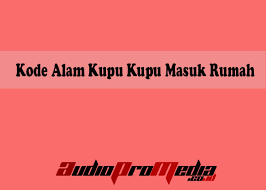 Kode alam kupu kupu masuk rumah. Kode Alam Kupu Kupu Masuk Rumah Menurut Primbon Jawa 2d 3d 4d