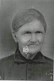 Wines Family History: Last Name Origin & Meaning