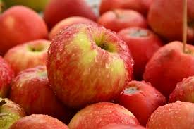 What human food can cats eat? Can Cats Eat Apples