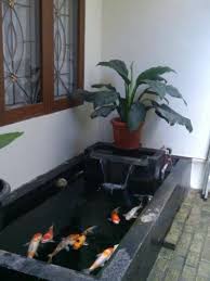 Pin Oleh Katja Rentmeester Di Home Di 2020 Kolam Ikan Kolam Kolam Halaman Belakang