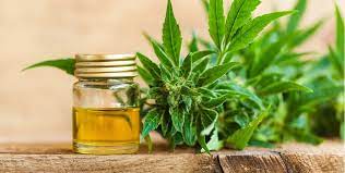شيعة‎) muslims make up the plurality of the iraqi population, with 55% to 60% of iraqis identifying as shia muslims. Is Cbd Oil Halal Or Haram We Answer Your Question Here Candid