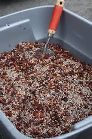 I water plants and sweep the floor. Pin On Yard