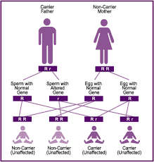Autosomal Dominant Recessive Weblogs21 Education One New Idea Every Day Autosomal Recessive Definition Explained