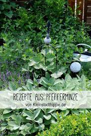 Du Hast Nach Pfefferminze Gesucht Pfefferminze Pfefferminzsirup Vegane Rezepte