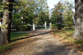 Mit dem mammut im park unterwegs. Mdm Online Location Guide