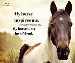 My Horse Inspires Me My Horse Guides Me My Horse Is My Best Friend Inspirational Horse Quotes Horse Quotes Funny Horses