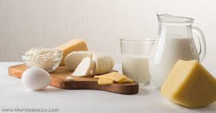 You can get plenty of protein from fish, beef, chicken, eggs, nuts and beans. How To Start A Dairy Free Breastfeeding Diet Mom Makes Joy