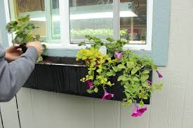 Install a window box planter underneath a prominent window or two on the front of your house. Step By Step Guide To Planting A Window Box