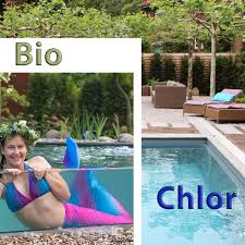 Schwimmteich Naturpool Vs Chlor Pool Vorteile Ratgeber
