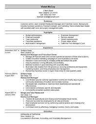 best franchise owner resume example