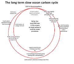 carbon cycle