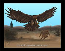Birds Of Prey Common Sense Media Special Golden Eagle Hunting Rabbit Drawing Color Eagle Drawing Speeddrawing Eagle Hunting Deer Cartoon Rabbit Drawing