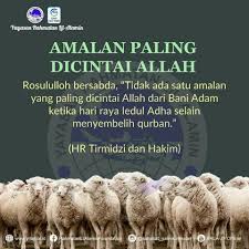 Apakah amalan sunat untuk orang yang melaksanakan korban? Qurban Untuk Anak Yatim Dhuafa Archives Yayasan Rahmatan Lilalamin