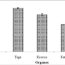 Image result for Ampelocissus multistriata