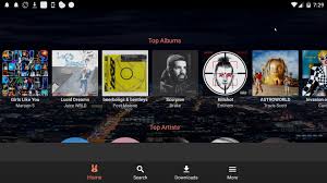 Fildo apk is a beautiful application that enables you to stream your favorite music and download it. Fildo Apk Download For Android Or Amazon Fire