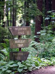 Forest Park Portland Wildwood Trail From Zoo Parking Lot Take The Max To Zoo Forest Park Portland Pacific Northwest Trail Forest Park