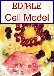 Check spelling or type a new query. Edible Cell Model Our Cell Science Unit Proverbial Homemaker
