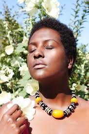 COLLABORATORS — Zest Collective