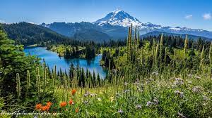 Ascending to 14,410 feet above sea level, mount rainier stands as an icon in the washington landscape. List Of National Parks Located In Washington