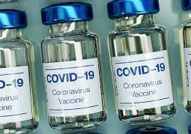 Had a pretty favorable run when it comes to the market performance. Biotech Firm Raises 20 Million Sees Progress On Covid 19 Vaccine St Pete Catalyst