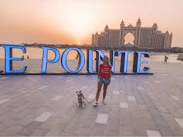 Maybe you would like to learn more about one of these? Dubai Pet Owners Can Now Walk Dogs On This Palm Jumeirah Beach