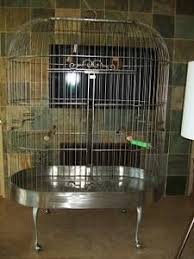 Bird Cage For Sale Craigslist Dallas For Sale Cage Craigslist Cage Bird Cages Bird Cage