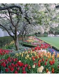 Skyscanner hotels is a fast, free and simple way to organize your stay near rothenburg garten. 40 Traumgarten Ideas Plants Planting Flowers Cortaderia