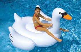 Amazon Com International Leisure Giant Swan Patio Lawn Garden Swan Pool Toy Inflatable Swan Inflatable Pool Toys