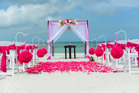 Florida Beach Weddings Simple Elegant Eclectic Tide The Knot Beach Weddings Purple Wedding Theme Beach Wedding Pink Beach Theme Wedding Cakes