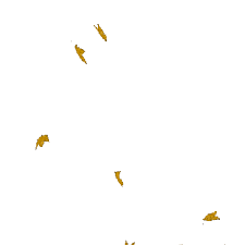 Also leaves falling gif png available at png transparent variant. Feuilles Automne Gif Jaune Leaves Falling Yellow Picmix