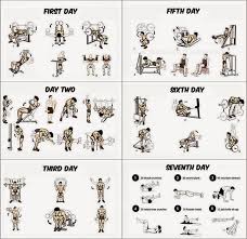 muscle building daily routine clipart