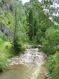 See more of dj ravine on facebook. Ravine Wikipedia