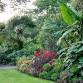 Right Plant, Right Place event image