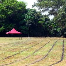 Nonton pembuatan lapangan sepak bola, remaja ini tewas kena mesin pemotong rumput yang terpental. Pelajar Maut Kepala Terpotong Dua Terkena Bilah Traktor Mesin Rumput Di Sekolah Tiada Lagi Teman Gaduh