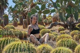 In your post in any form. 33 Cactus Captions For Instagram Pictures Updated Jan 2021