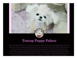 They offer puppies for sale in pa, ohio and more. Teacup Puppy Palace