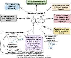 Image result for Oncocalyx