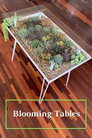 Blooming Table Delivered To Your Door Video In 2021 Plant Decor Indoor Plant Decor Indoor Plants