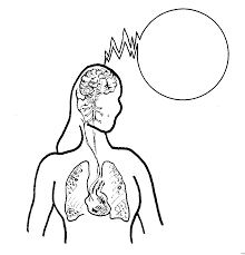 Menschlicher Koerper Ausmalbild Malvorlage Sonstiges