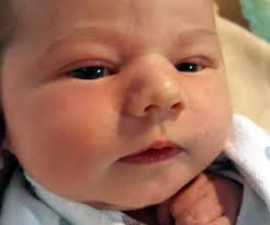 Engagements, Weddings, & Births Archives