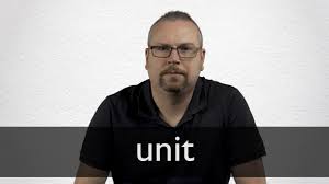 In english there are words. Unit Definition And Meaning Collins English Dictionary