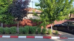 Profita de preturile avantajoase in alexandria in centru sau spre periferie. Casa De Vanzare Alexandria Teleorman Caramida 4 Camere 1 Baie Garaj Gradina Gaze La Poarta Contor Electric Afara Carte Funciara Adresa Constanti Plants