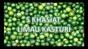 Semoga perkongsian khasiat limau kasturi dan kebaikan limau nipis ini akan membantu anda mendapatkan maklumat yang anda cari tentang buah. 5 Khasiat Limau Kasturi Youtube