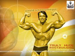 49+] Free Bodybuilding Wallpapers on WallpaperSafari