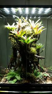 Exo Terra Med Extra Tall The Tree Garden Terrarium Reptile Terrarium Planted Aquarium