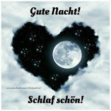 Ganz Liebe Gute Nacht Grusse Bilder Und Spruche Fur Whatsapp Und Facebook Kostenlos Flowers Photography Flower Quotes Ftd Flowers