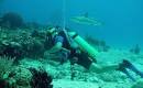 Long Island Diving and SCUBA - Port Diver Scuba Center