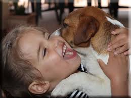 Violetta Jack Russell Kennel