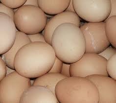 Maybe you would like to learn more about one of these? Macam Macam Telur Unggas Ilmu Ternak